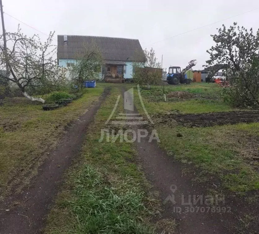 Дом в Омская область, Любинский район, Красный Яр рп ул. Юбилейная ... - Фото 1