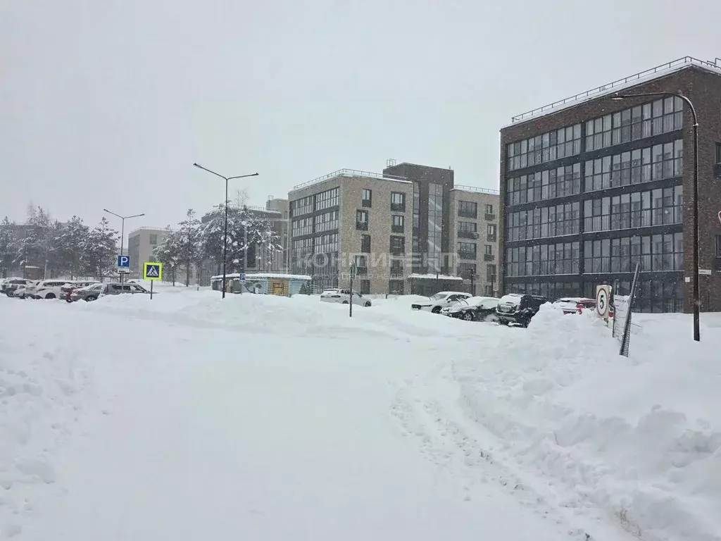 Участок в Владимирская область, Ковровский район, Доброград ... - Фото 1