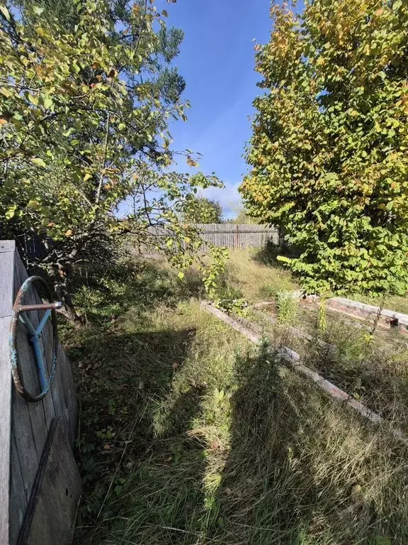 1-к кв. Ленинградская область, Тихвин Советская ул., 163 (20.0 м) - Фото 1