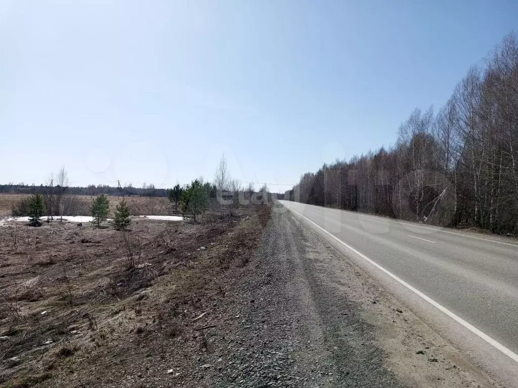 Участок 6 сот. (СНТ, ДНП) - Фото 0