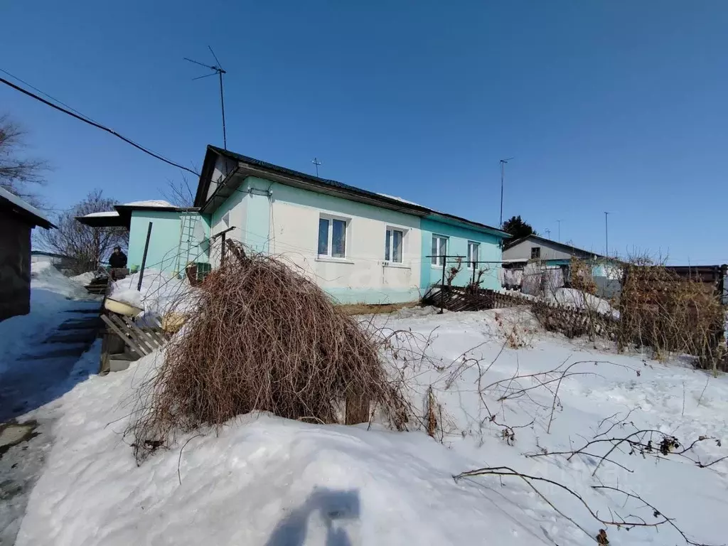 Дом в Амурская область, Ивановский муниципальный округ, с. Среднебелое ... - Фото 1