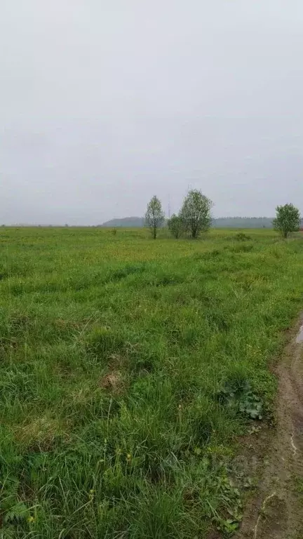 Участок в Ленинградская область, Гатчинский район, д. Выра  (300.0 ... - Фото 1