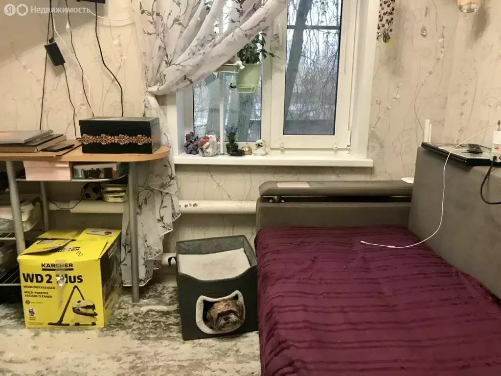 Квартира-студия: Кострома, улица Шагова, 98 (15 м) - Фото 1