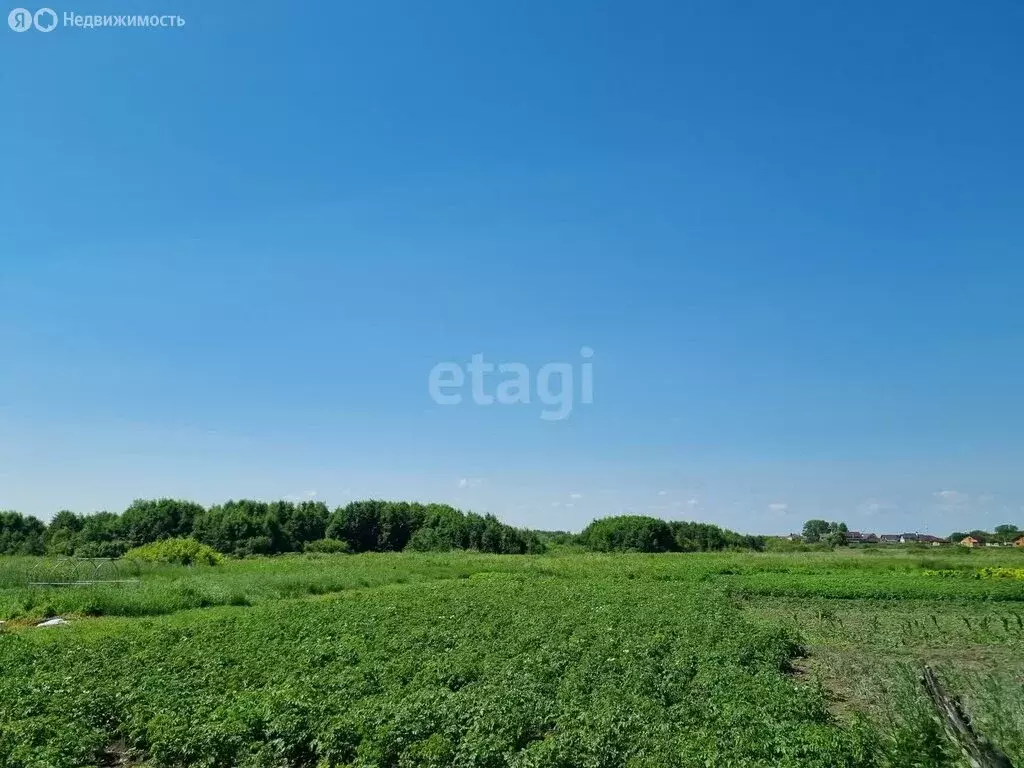 Участок в городской округ Ульяновск, село Подгородная Каменка (19 м) - Фото 1