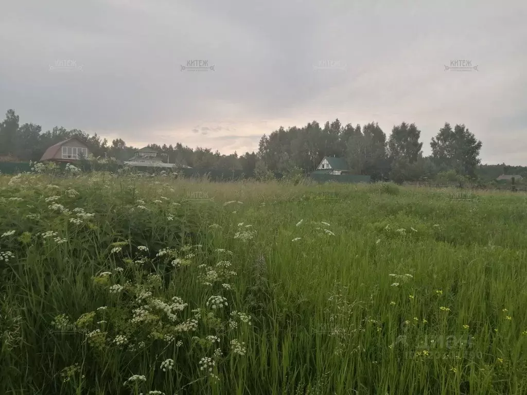 Участок в Калужская область, Калуга городской округ, д. Нижняя Вырка ... - Фото 2