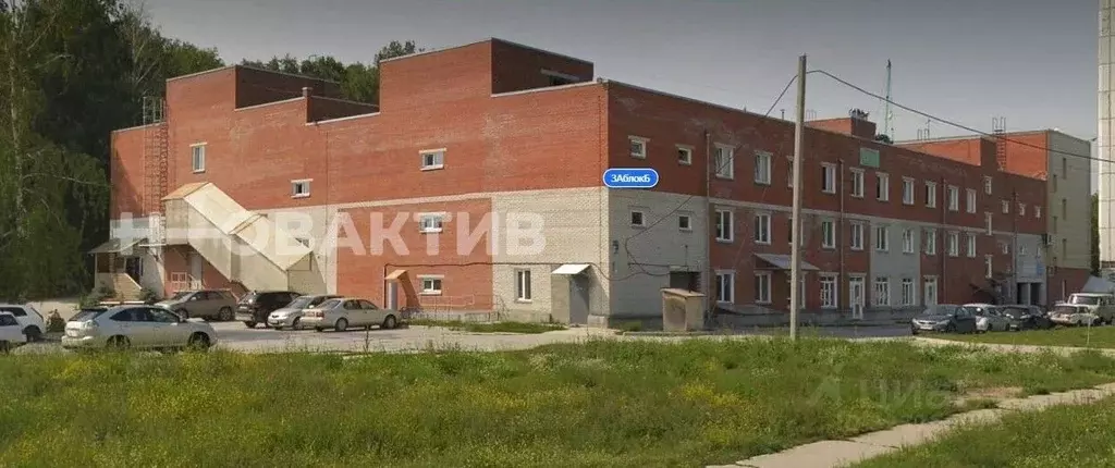 Помещение свободного назначения в Новосибирская область, Новосибирский ... - Фото 0