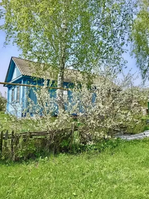 Дом в Саратовская область, Аркадакский район, Краснознаменское ... - Фото 0