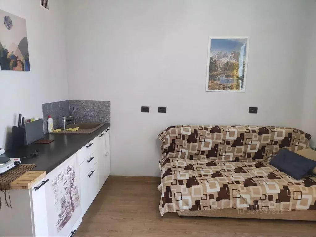 Студия Новосибирская область, Новосибирск Кубовая ул., 113/5 (25.0 м) - Фото 1