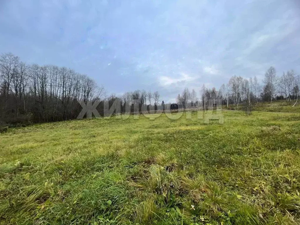 Участок в Московская область, Клин городской округ, д. Надеждино  ... - Фото 1