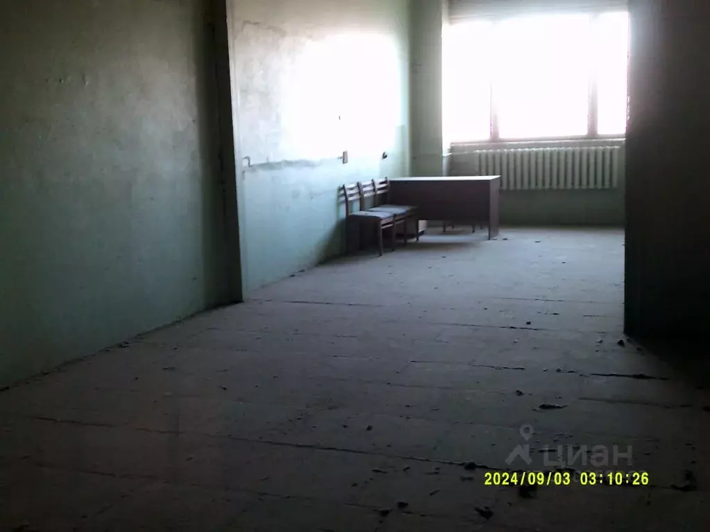 Помещение свободного назначения в Новосибирская область, Новосибирск ... - Фото 1