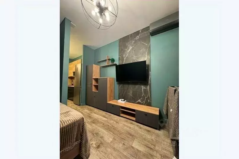 1-к кв. Краснодарский край, Сочи городской округ, Дагомыс пгт ш. ... - Фото 1