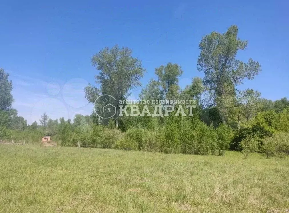 Участок в Алтай, Майминский район, пос. Дубровка ул. Сафронова, 60 ... - Фото 1