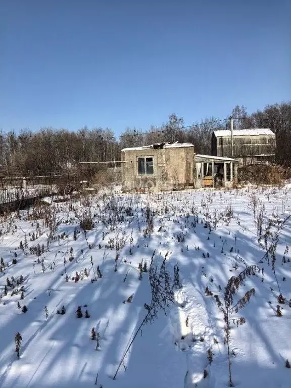 Дом в Хабаровский край, Хабаровский район, с. Корсаково-1 ул. ... - Фото 1