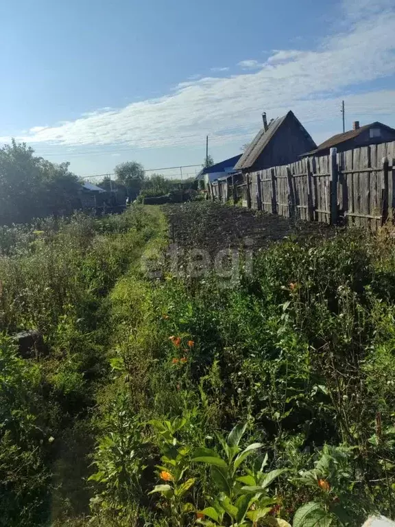 Участок в Челябинская область, Озерский городской округ, пос. Метлино ... - Фото 2