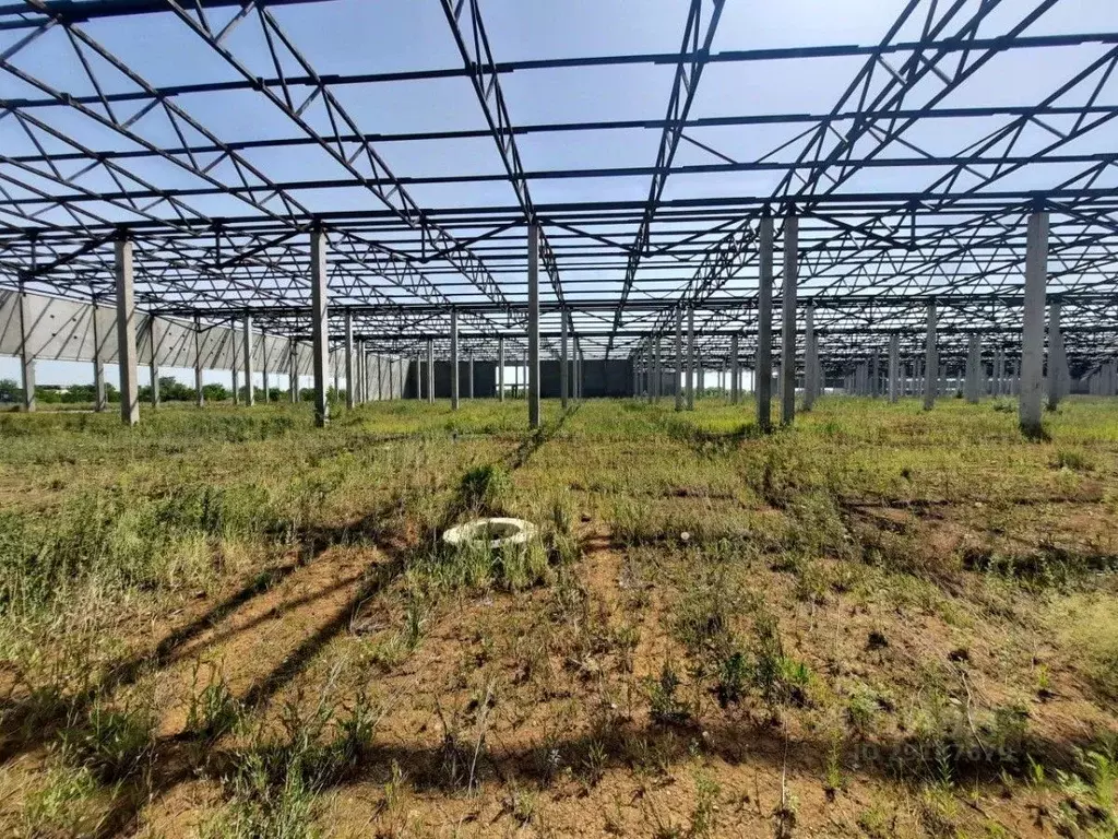 Склад в Самарская область, Волжский район, Смышляевка городское ... - Фото 2