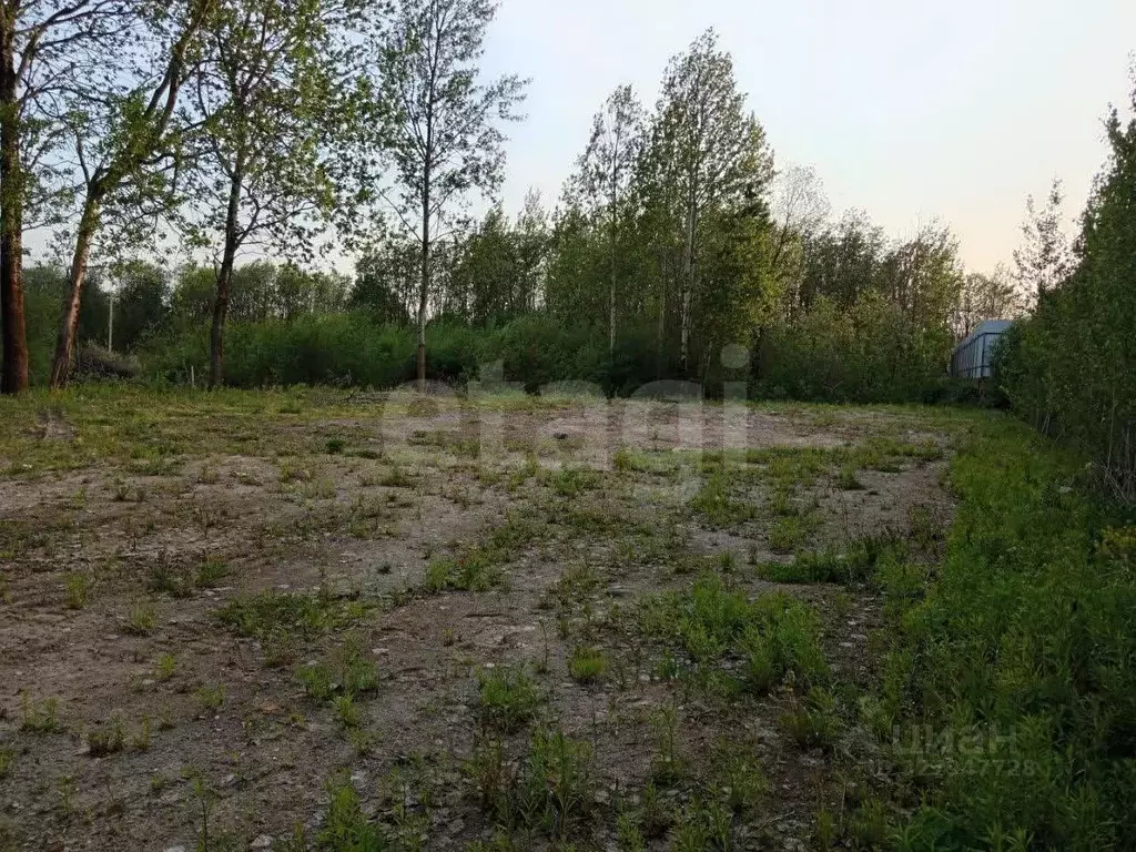 Участок в Вологодская область, Череповец 36-й мкр,  (8.0 сот.) - Фото 2