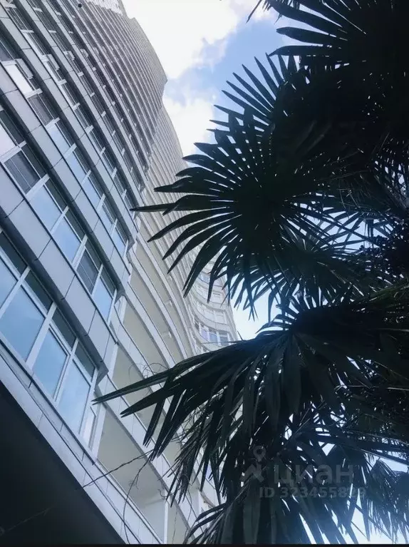 3-к кв. Краснодарский край, Сочи Центральный мкр, ул. Первомайская, 21 ... - Фото 2