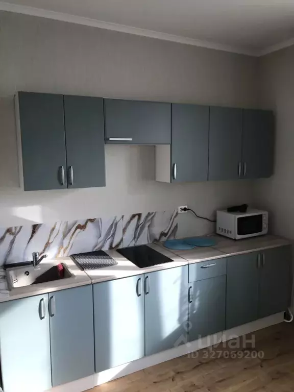 1-к кв. Московская область, Домодедово Южный мкр, ул. Курыжова, 1к1 ... - Фото 2