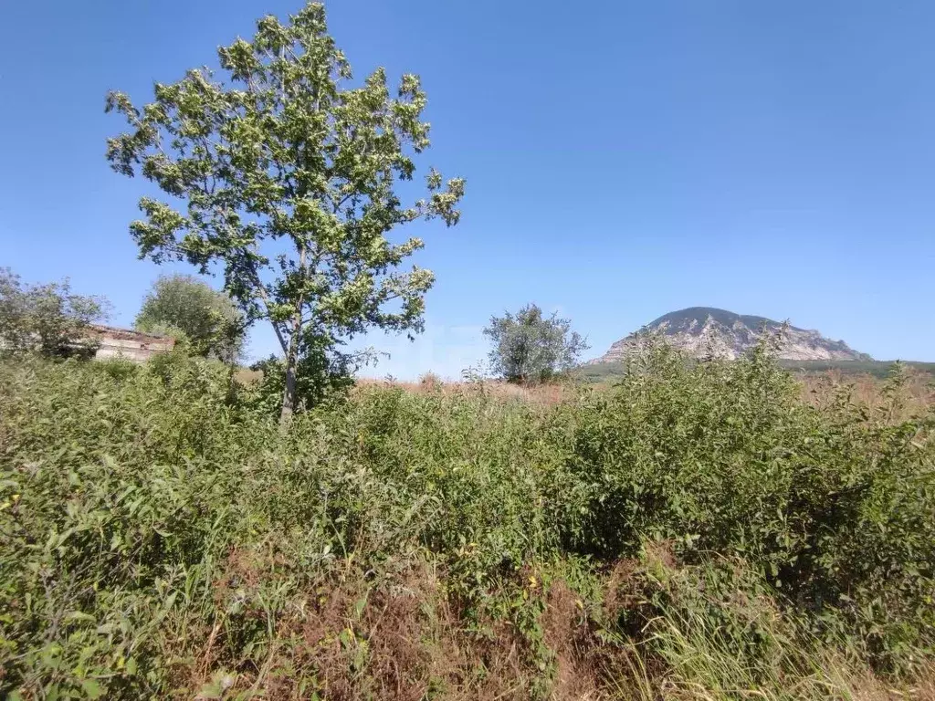 Склад в Ставропольский край, Минераловодский муниципальный округ, пос. ... - Фото 1