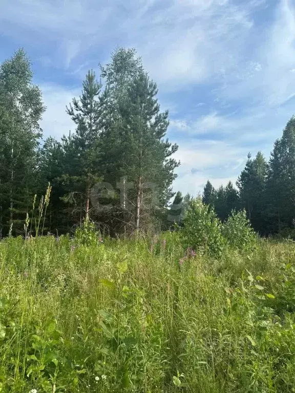 Участок в Свердловская область, Талица Южный-3 мкр,  (15.0 сот.) - Фото 1