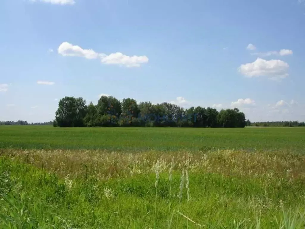 Участок в Нижегородская область, Нижний Новгород с. Безводное, ул. ... - Фото 2