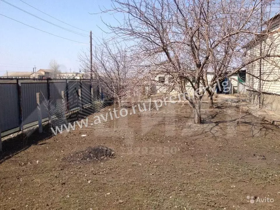 Погода в верхние липки волгоградская обл. Верхние Липки Волгоградская область. Хутор красные Липки Волгоградская область. Поселок Верхние Липки Волгоградская область. Верхние Липки Фроловский район.