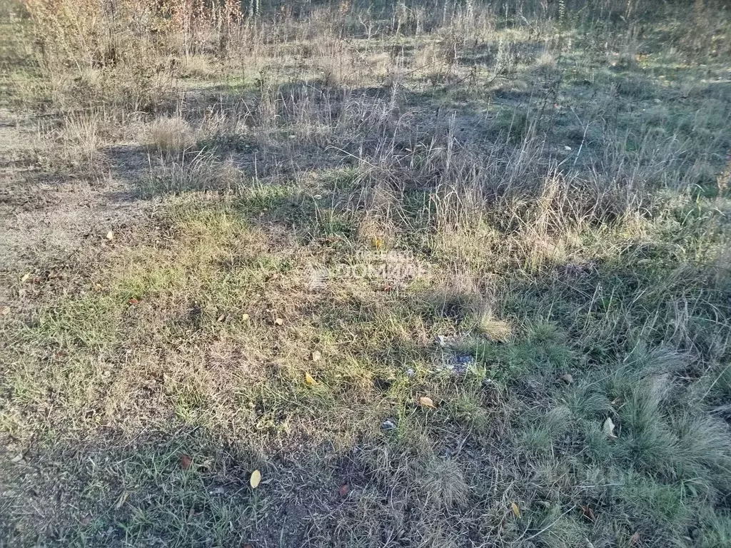 Участок в Ростовская область, Октябрьский район, пос. Персиановский ... - Фото 2