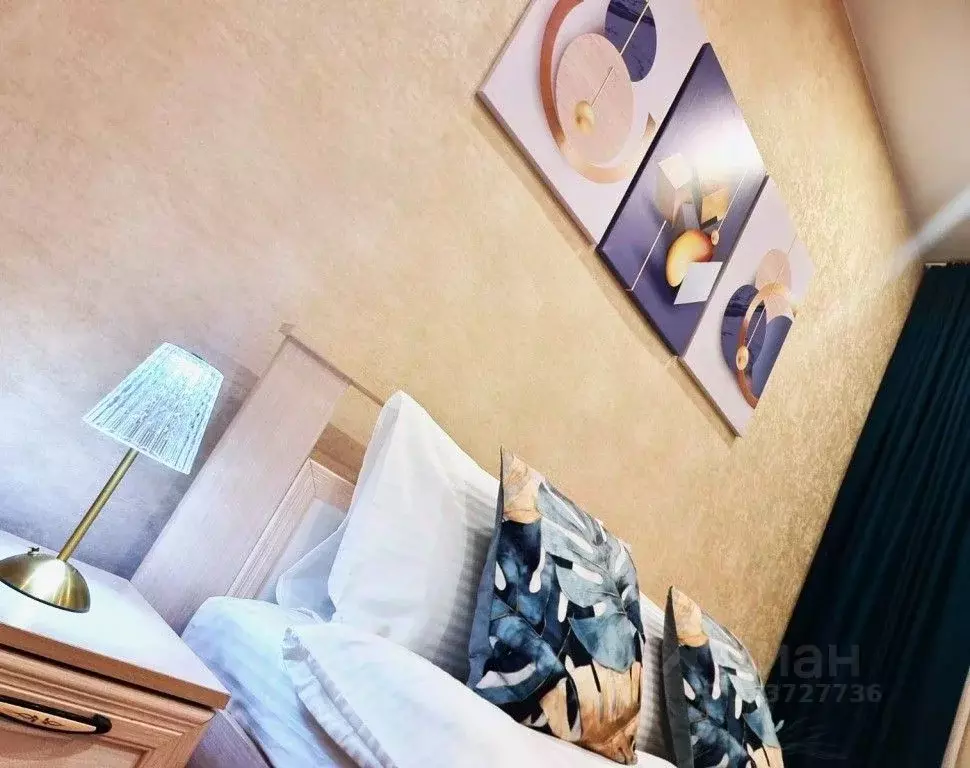 1-к кв. Амурская область, Благовещенск ул. Ленина, 191 (40.0 м) - Фото 2