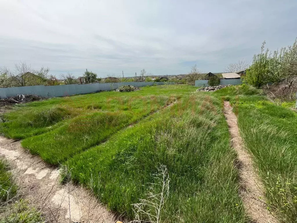 Участок в Ростовская область, Цимлянский район, Красноярское с/пос, ... - Фото 1