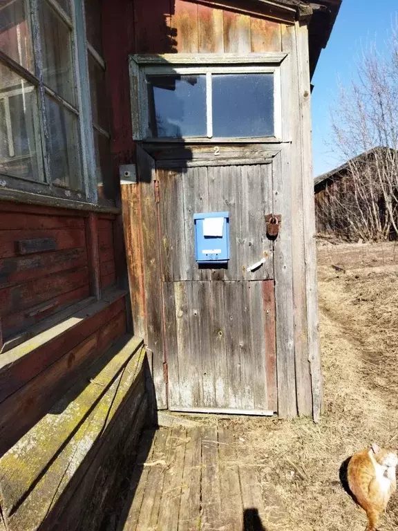 Помещение свободного назначения в Кировская область, Киров Новый мкр, ... - Фото 1