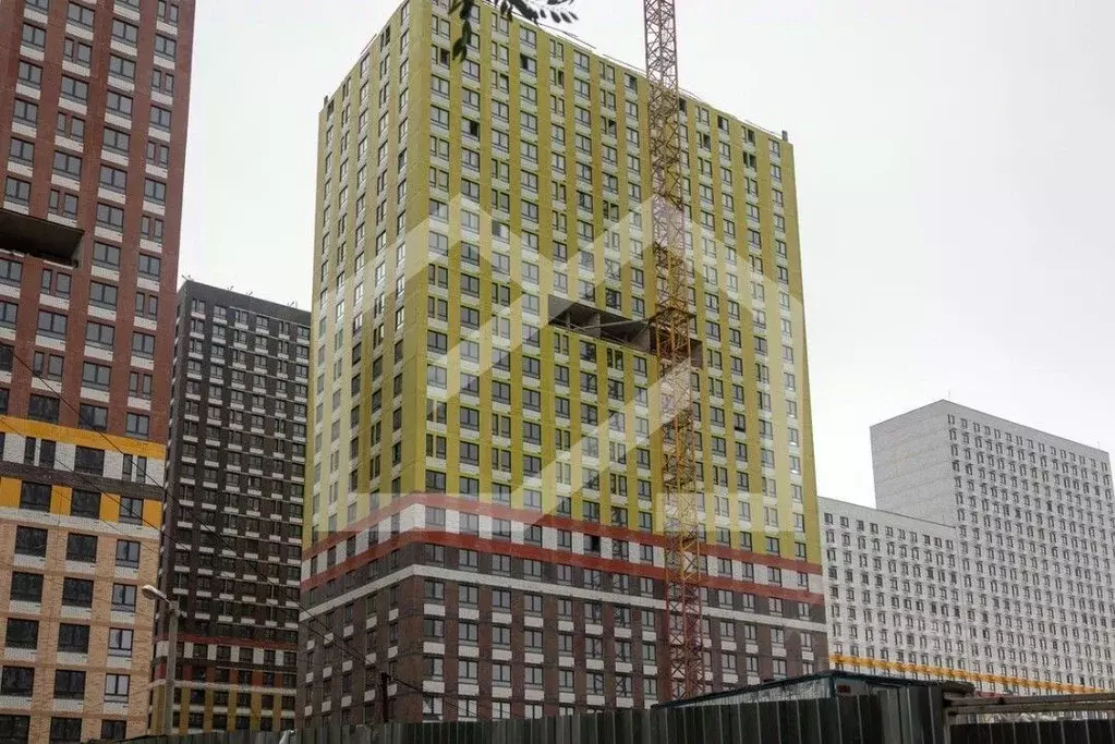 Помещение свободного назначения в Московская область, Котельники Белая ... - Фото 1