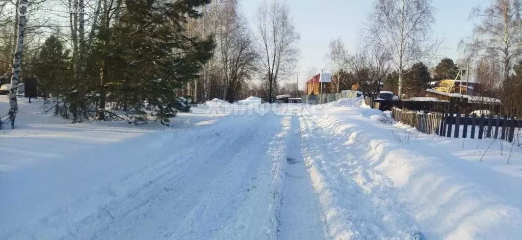 Участок в Томский район, Богашёвское сельское поселение, садовое ... - Фото 0