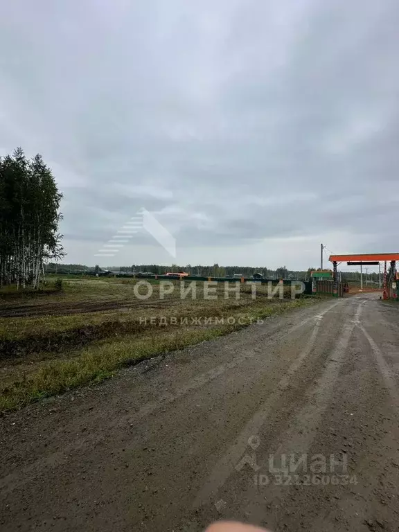 Участок в Челябинская область, Каслинский муниципальный округ, Сунгуль ... - Фото 1
