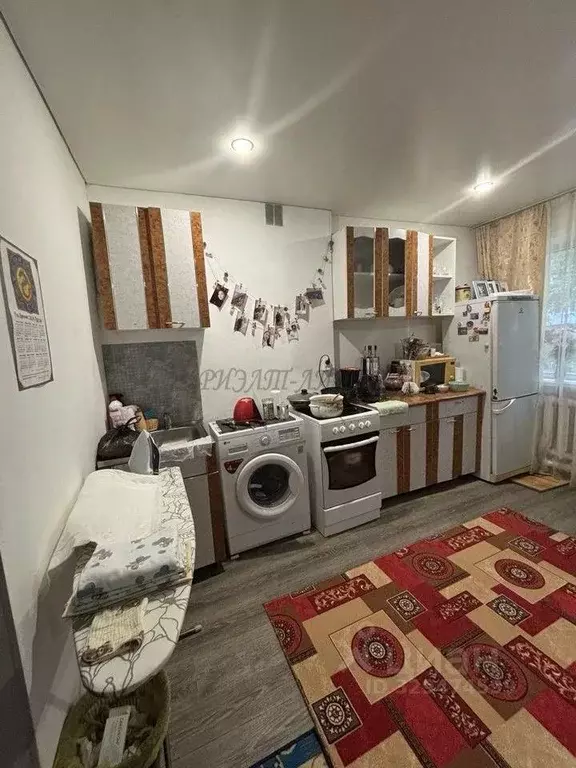 Студия Алтай, Майминский район, с. Майма ул. Строителей, 5 (28.0 м) - Фото 1