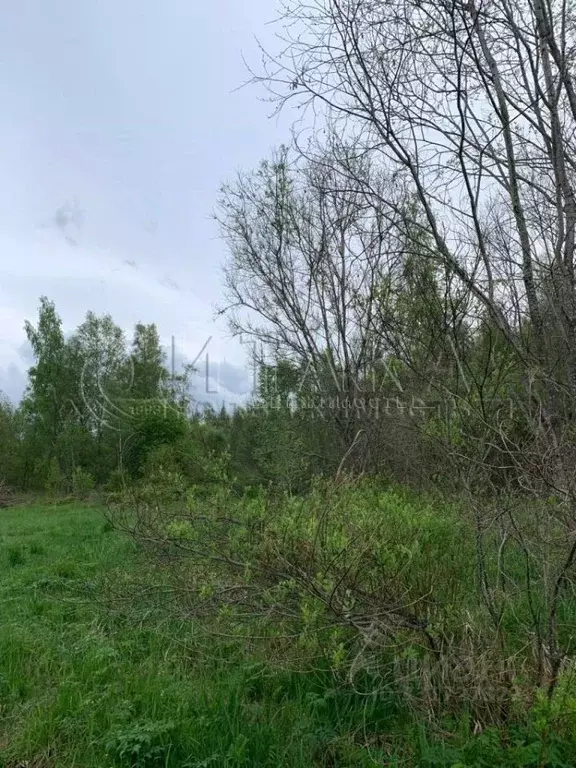Участок в Ленинградская область, Волховский район, Кисельнинское ... - Фото 2