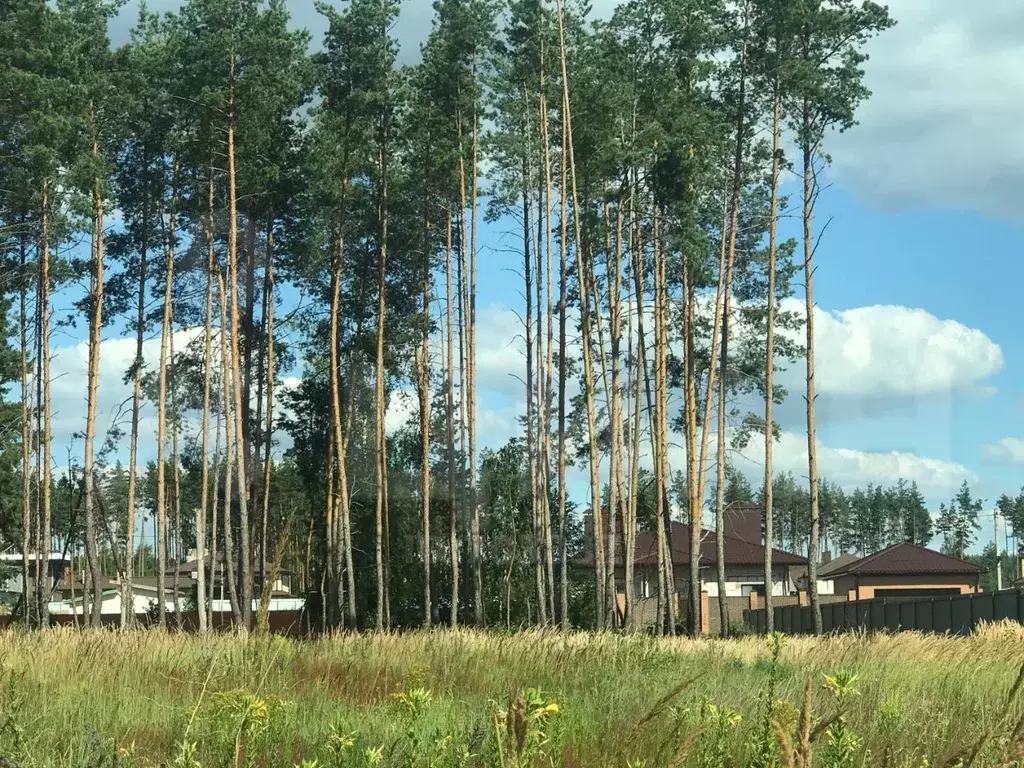Участок В Медовке Воронеж Купить