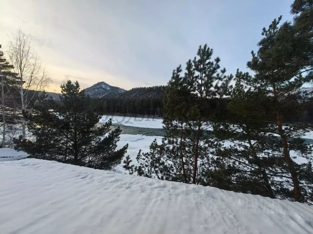 Помещение свободного назначения в Алтай, Майминский район, с. Манжерок ... - Фото 2