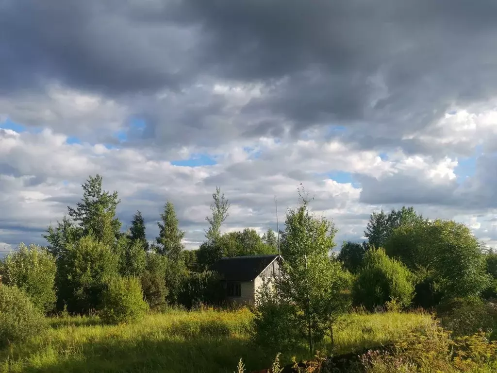 Дом в Псковская область, Пыталово Псковская ул. (74 м) - Фото 1