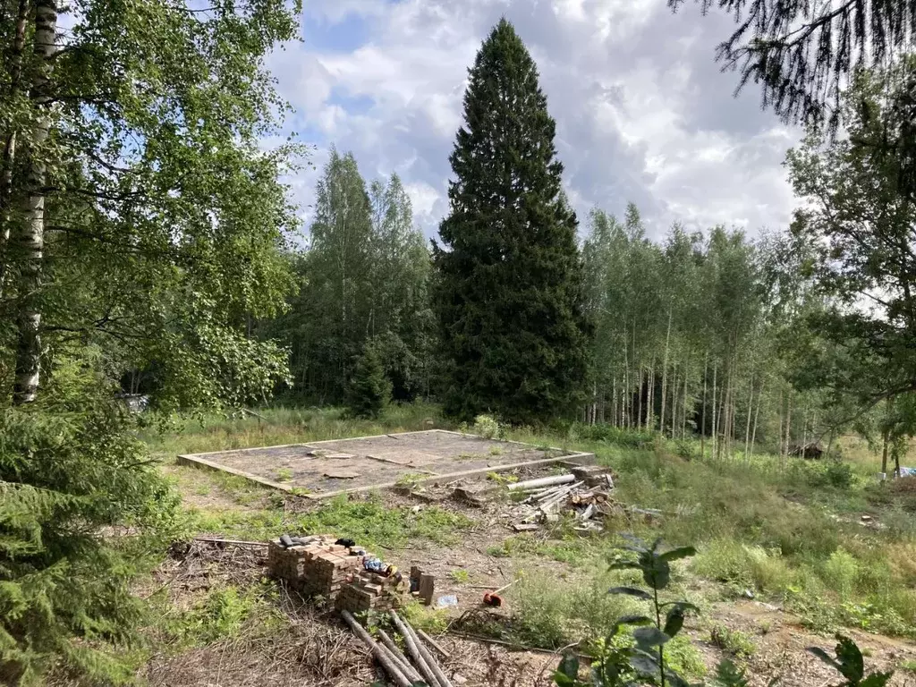 Участок в Ленинградская область, Выборгский район, Каменногорское ... - Фото 2