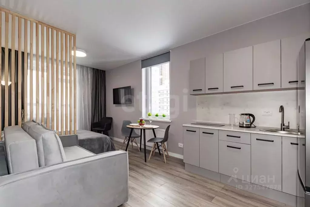 Студия Свердловская область, Екатеринбург ул. Крауля, 105/3 (23.4 м) - Фото 1