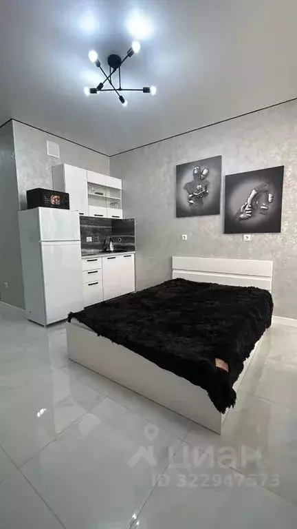 Студия Адыгея, Майкоп ул. К.А. Васильева, 2к2 (20.0 м) - Фото 1