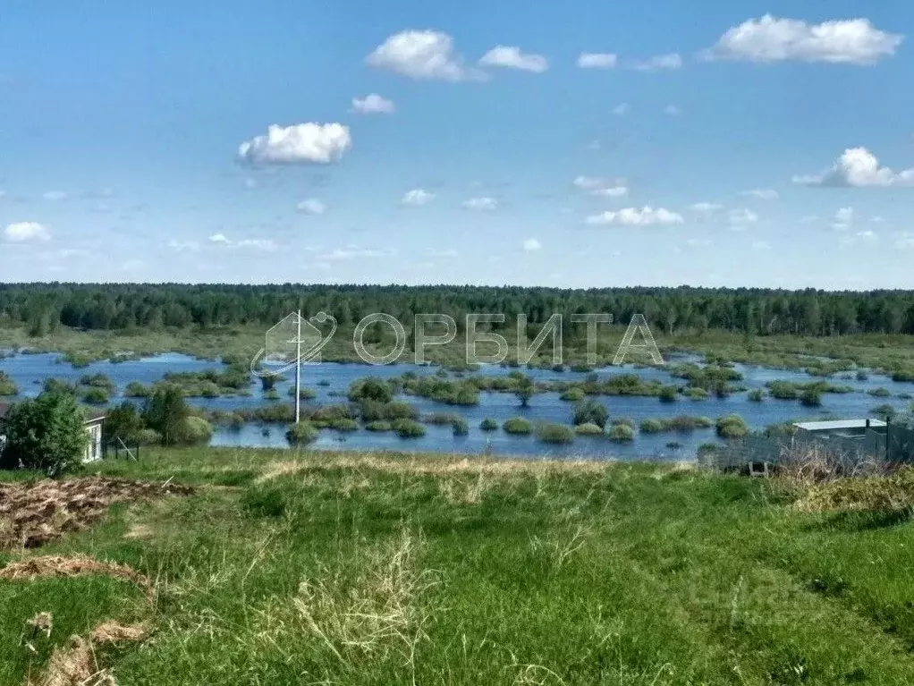 Участок в Тюменская область, Тюменский район, д. Насекина  (8.0 сот.) - Фото 0