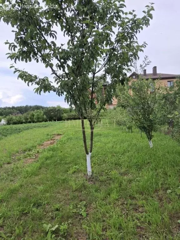 Участок в деревня Корта, Лесная улица, 25 (8 м) - Фото 2