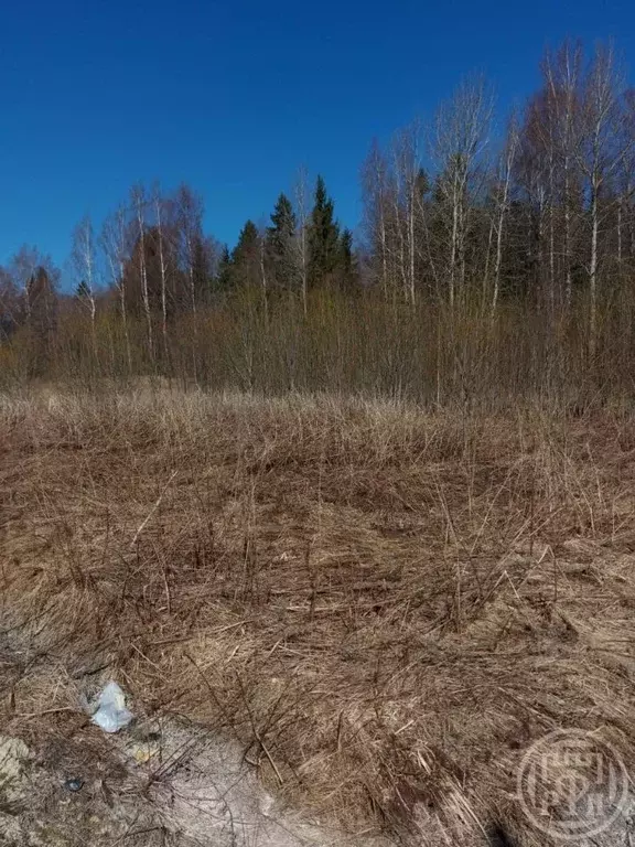 Участок в Ленинградская область, Ломоносовский район, Лопухинское ... - Фото 2