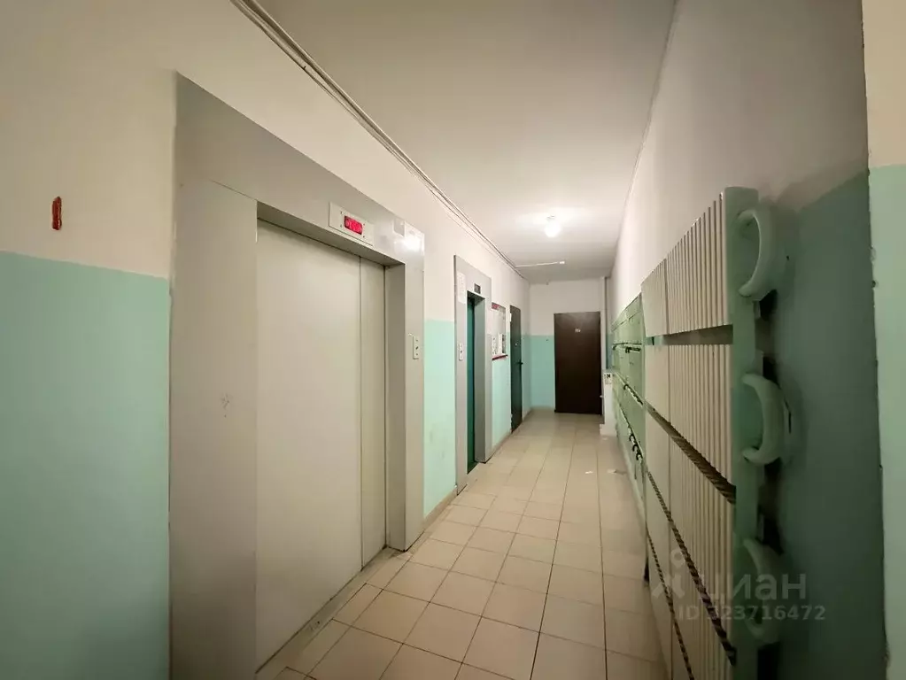 2-к кв. Воронежская область, Воронеж ул. Антонова-Овсеенко, 35в (77.3 ... - Фото 2