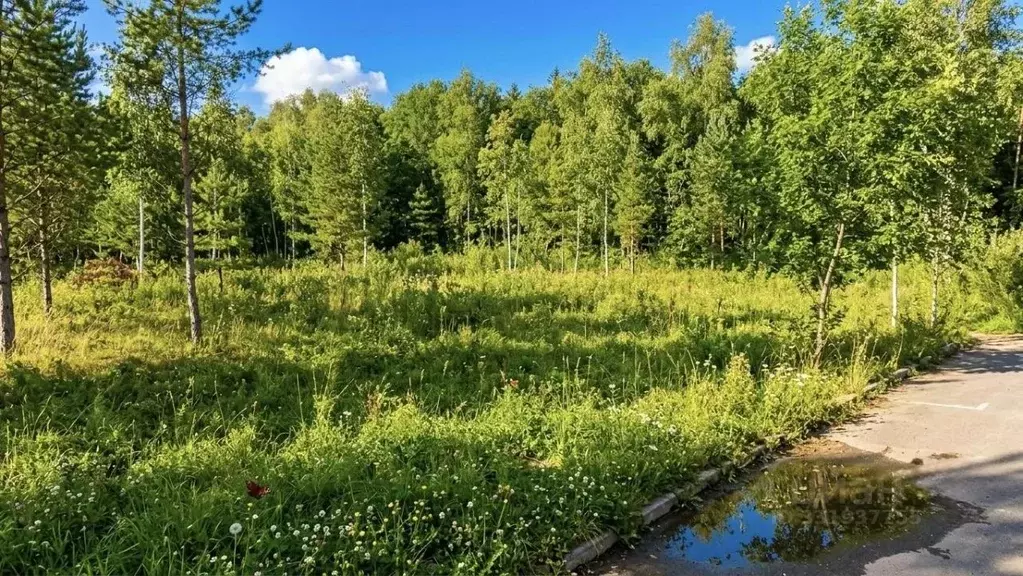Участок в Московская область, Подольск городской округ, пос. ... - Фото 2
