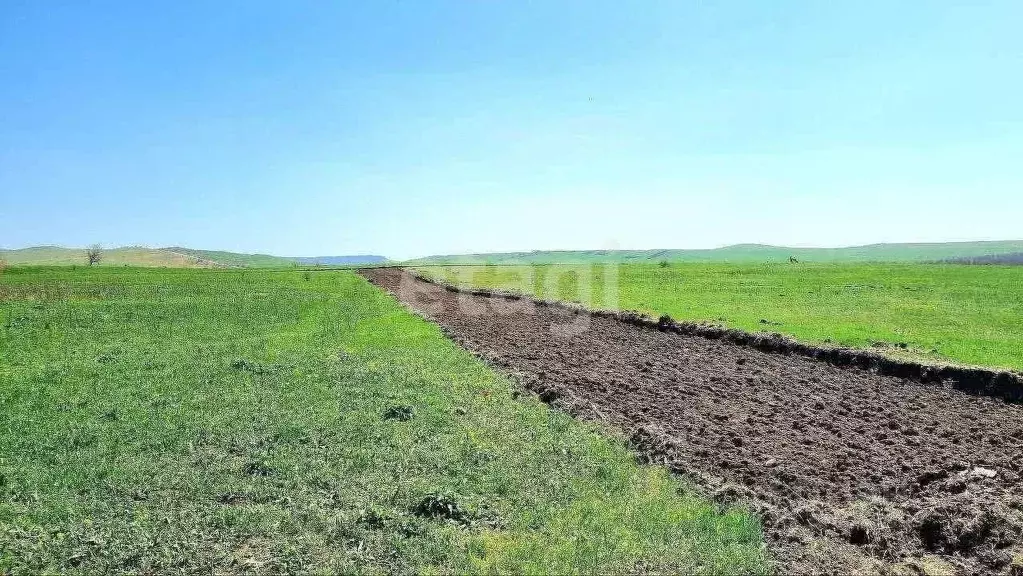 Участок в Ставропольский край, Минераловодский муниципальный округ, ... - Фото 1