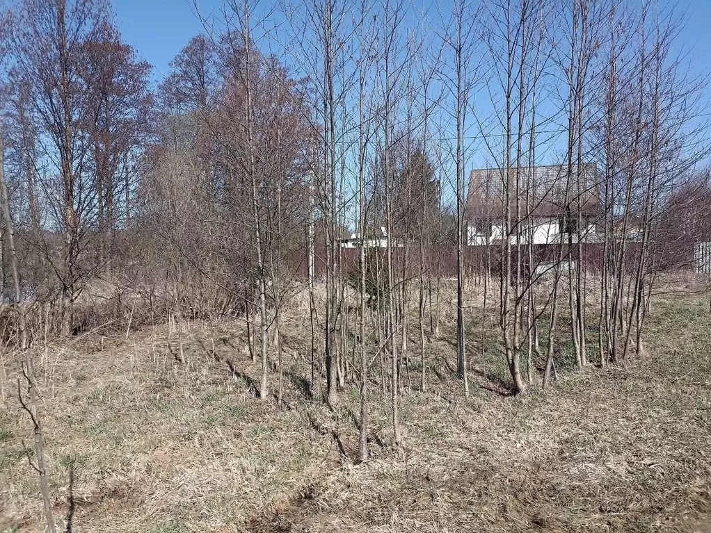 Участок в Москва д. Акулово, 1 (4.76 сот.) - Фото 1