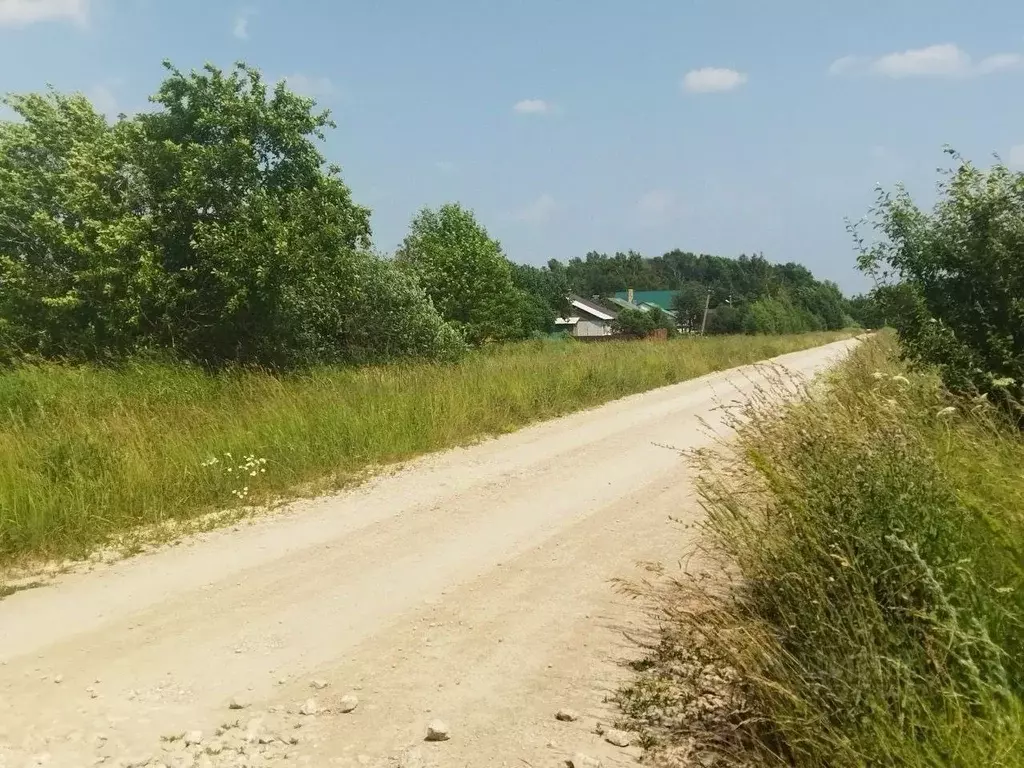 Участок в Тульская область, Ясногорский район, Иваньковское с/пос, д. ... - Фото 2