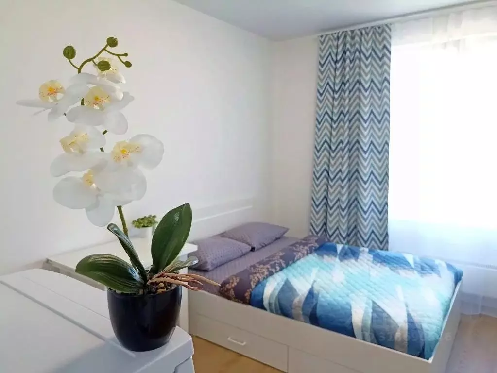 1-к кв. Калужская область, Обнинск ул. Курчатова, 25/4 (25.0 м) - Фото 0